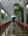 【时光】命中注定（散文）