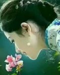 【丹枫】倾听，花开的声音（外一首）