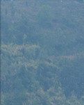 【萌芽】游边城记（记叙文）