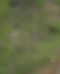 【如云】 窗