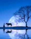 【如云】时光打开的另一条通道（组诗）