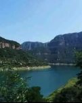 【丹枫】那山，那水，那狗（散文）