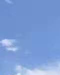 【心灵】花天河（散文）