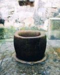 【清韵】一只蛤蟆的念想（小说）