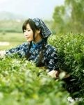 【看点·红尘】茶园对号（乡村微电影）