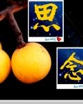 【菊韵】秋日咏唱诗四首（古韵）