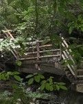 【荷塘】走进太白山（散文）