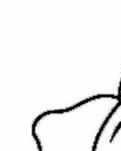 【八一】二师兄（散文·家园）