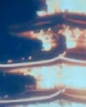 【清风】愿与你，暗香盈袖月黄昏（散文）