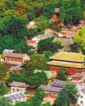 【柳岸•路】潭柘寺寻宝（散文）