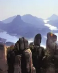 【宁静•守】重逢在大罗山（散文）