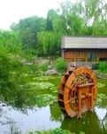 【丹枫】当年，那些事（散文）