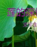 【清风】莲的深情（散文）
