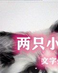 【清风】两只小猫的故事（随笔）
