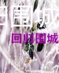 【清风】回归围城（小说）