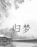 【清风】梦归北宋 (小说)