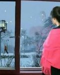 【菊韵】冬日里的那些故事（诗歌）