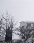 【家园】早春白雪（散文）