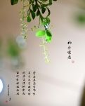 【星月】有爱，生命就会开花（散文）