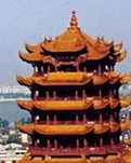 【柳岸•芳】歌吟动容，振臂加油（赏析）