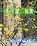 【柳岸】一生恰如三月花（散文）