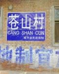 【家园】记忆中，故乡的春天（散文）