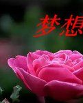 【柳岸•芳】梦想在江山怒放（赏析）