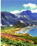 【浪花】友情（组诗）