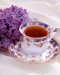 【暗香】茉莉用盛开书写永远的沉默（外两首）