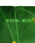 【家园】找准位置，快乐就好（散文）
