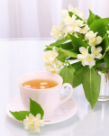 【菊韵】茶趣（散文）