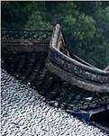 【萌芽】水乡繁华自悠远（散文）