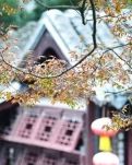 【星月家】怀念地瓜及其他（组诗）