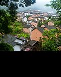 【暗香】奇葩绽放在深山（散文）