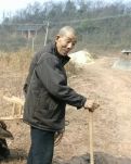 【丁香·丁香花开】卖鸡的老头（微小说）