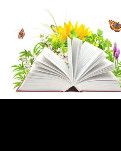 【家园】植物的启迪——也谈长寿（散文）