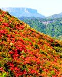 【浪花】你们……来晚了！（散文）