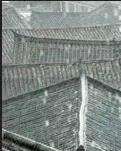 【敏思】雨季（诗歌）