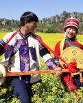【丁香】蓝色石林，乡愁迷漫的路南（组诗）