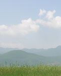 【蓉城】上善若水