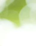 【宁静】表妹小芹（散文）