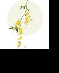 【山河● 秋】桂子花开（散文）