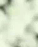 【心灵】心迹之五十一（组章）（散文）