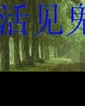 【鬼故事】【八一】活见“鬼”（微小说）