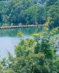 【八一】牟城风景线（散文）