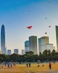 【菊韵】若非大地缓缓移动（组诗）