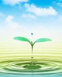 【晓荷＊写手奖励赛】  净静一滴水（随笔）