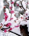 【流年】心似明月澄，行如明月朗（随笔）