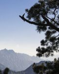 【柳岸】赶山（散文）