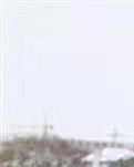 【晓荷】金陵初雪——浮生若梦（散文）